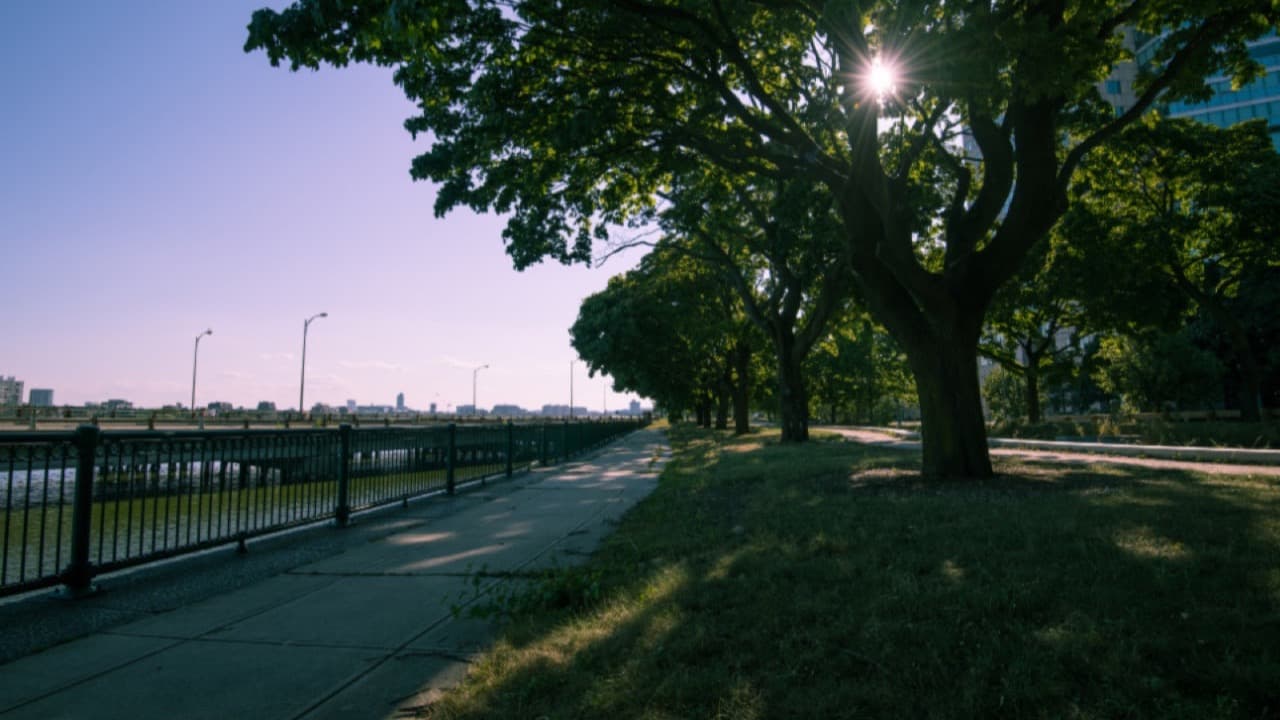 Imagem da notícia: Acordo com proprietários desbloqueia o futuro parque da cidade