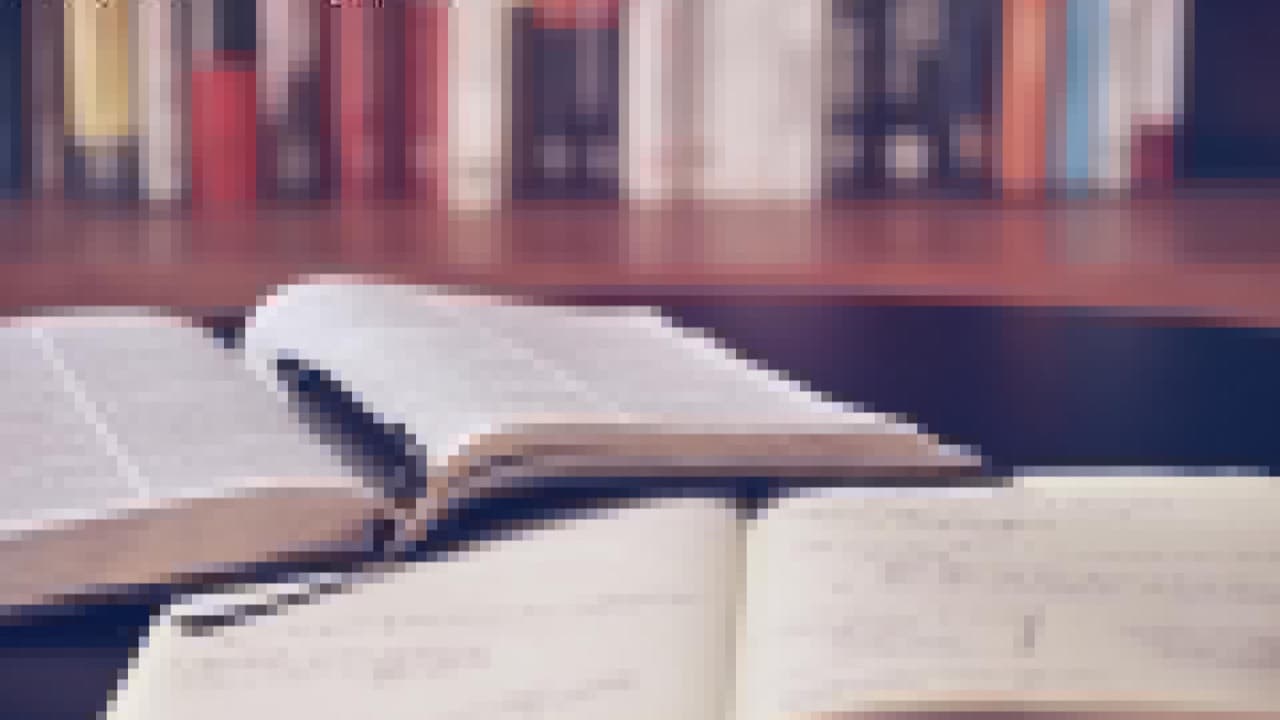 Imagem da notícia: Biblioteca Municipal apresenta programação gratuita até ao final do ano
