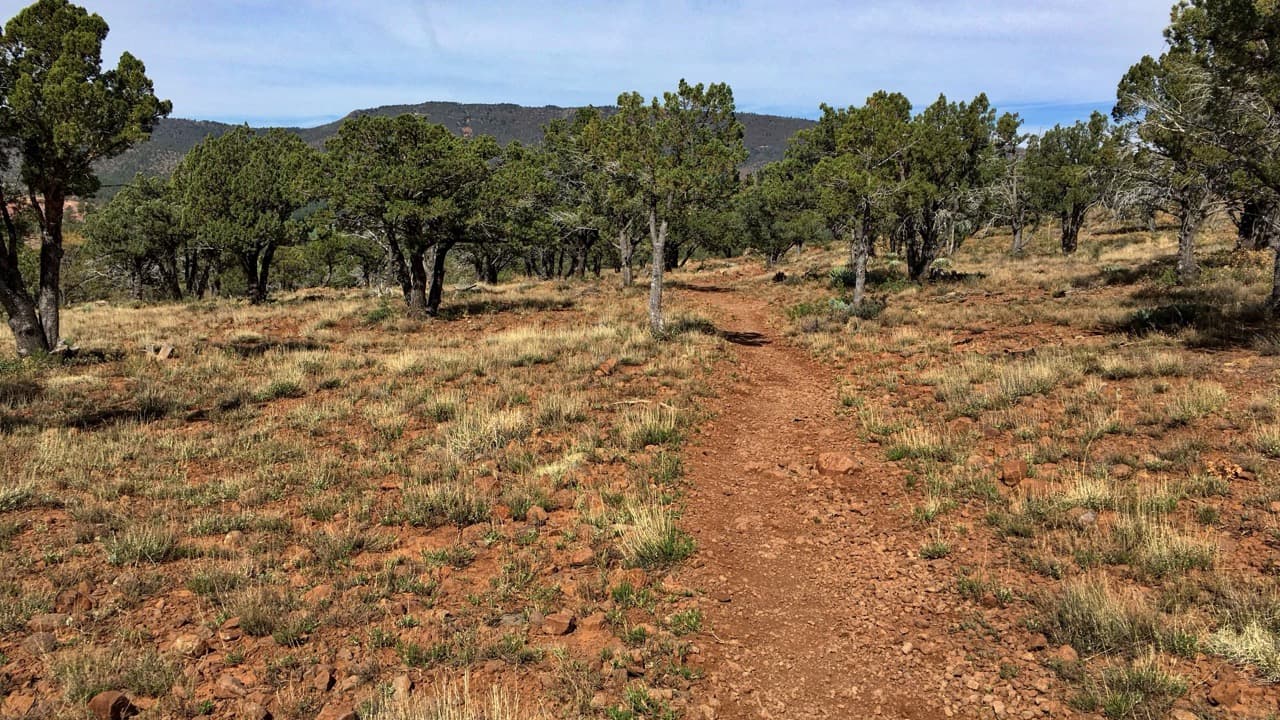 Imagem do evento: II Prova de Resistência Terrantêz Trail Team