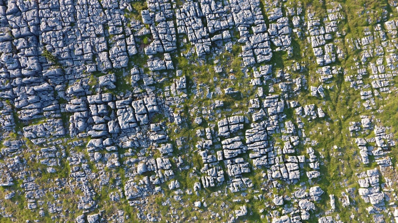 Imagem da notícia: Alteração dos limites do Parque Natural das Serras de Aire e Candeeiros vai a discussão pública