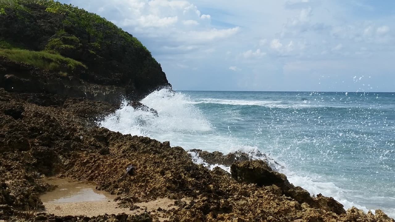 Imagem da notícia: Câmara reforça limpeza de algas nas zonas balneares do concelho