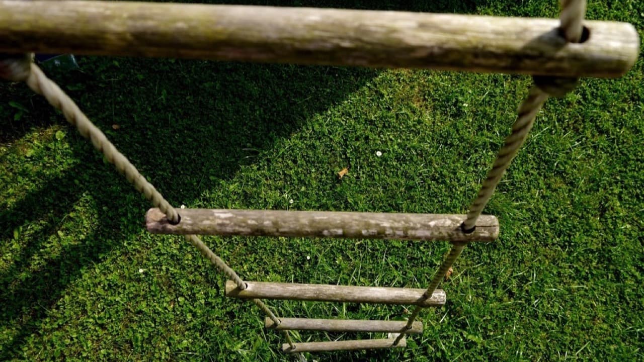 Imagem da notícia: Campo de férias inclusivo mantém crianças e jovens com deficiência ativos durante o verão
