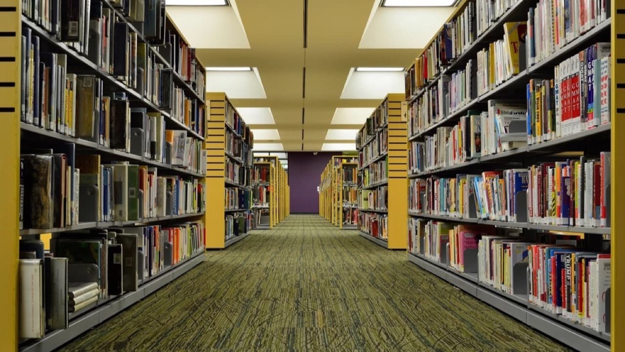 Imagem da notícia: Regulamento da Biblioteca Municipal de Arouca em consulta pública até 14 de setembro