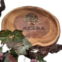 Logótipo de A Cêpa — Restauração