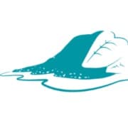 Logótipo de Câmara Municipal da Calheta — Serviços