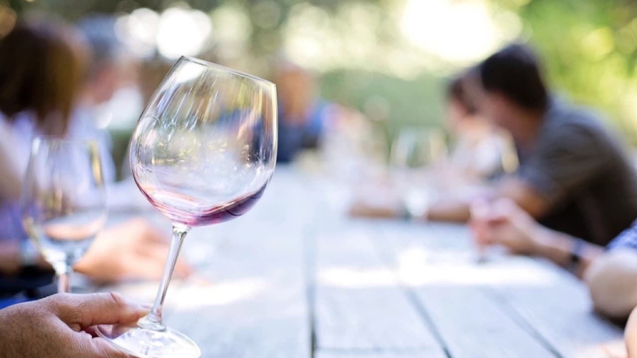 Imagem do evento: Festa das Vindimas da Quinta do Sampayo