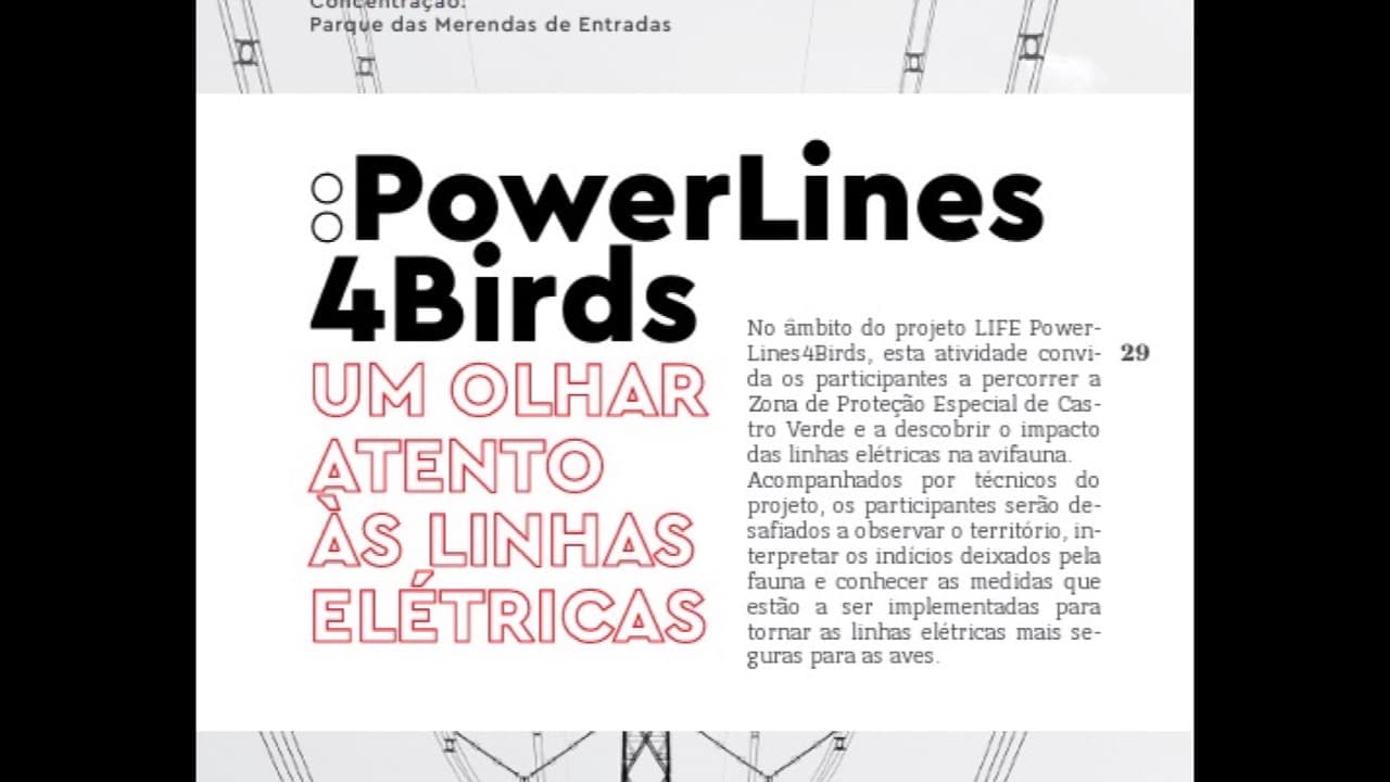 Imagem do evento: PowerLines4Birds — Um Olhar Atento às Linhas Elétricas