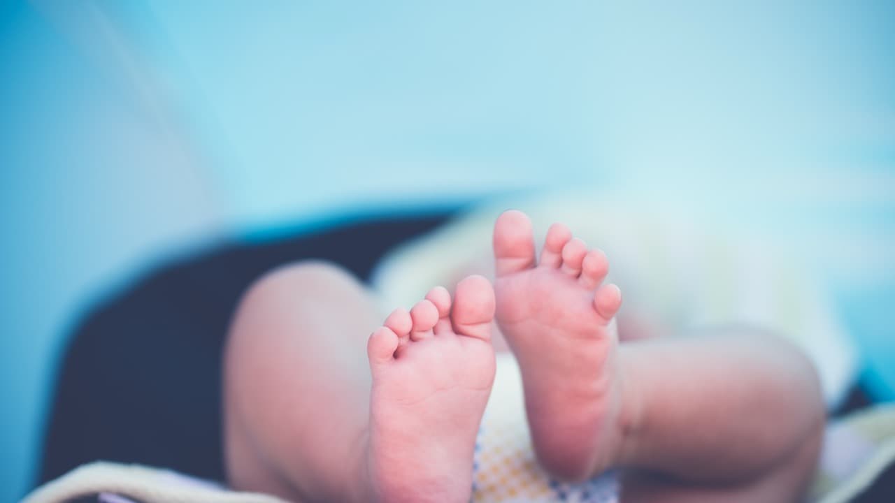 Imagem da notícia: Workshop em Coruche esclarece famílias sobre aleitamento materno