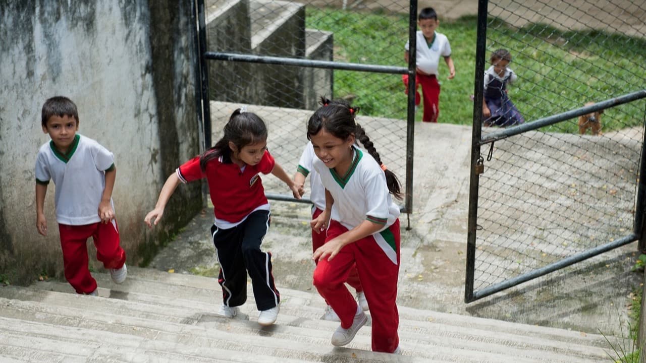 Imagem da notícia: Entroncamento instala novos monoblocos na Escola Básica António Gedeão antes do arranque das aulas