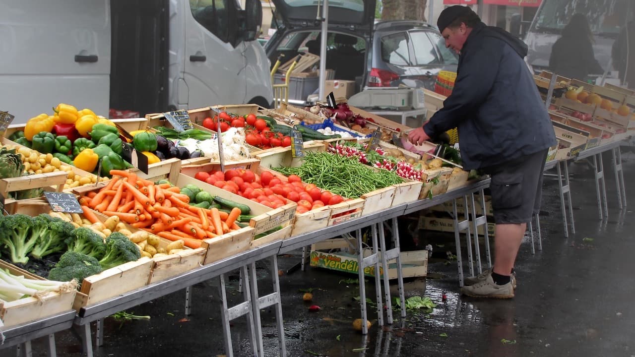 Imagem do evento: Mercado Municipal de Estarreja