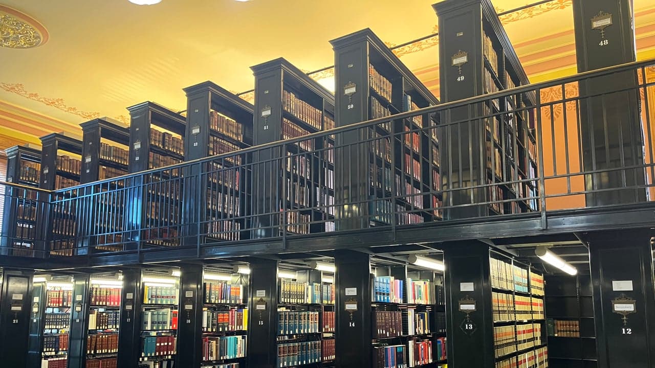 Imagem da notícia: Estarreja apoia projeto que reforça leitura nas escolas