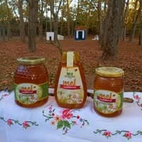 Logótipo de MELA — Produção e Venda de Mel — Comércio em Fronteira