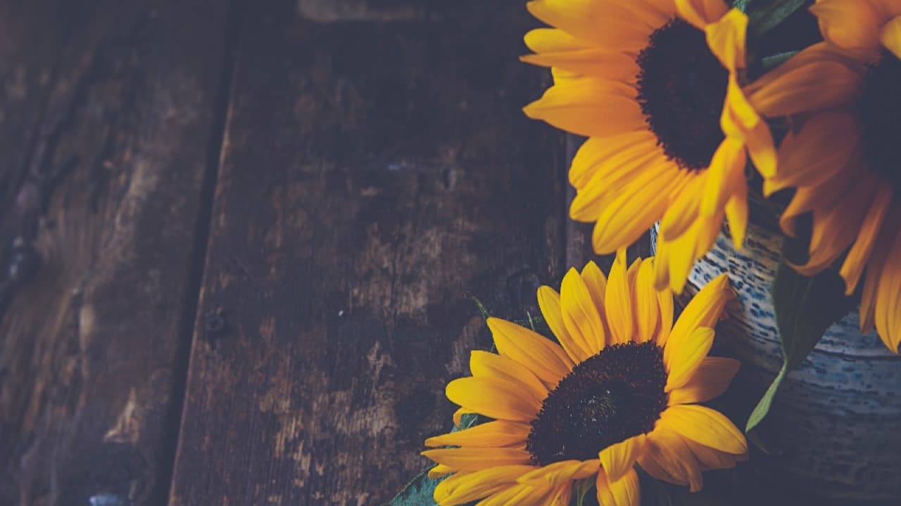 Imagem do evento: Festas dos Remédios: Batalha das Flores