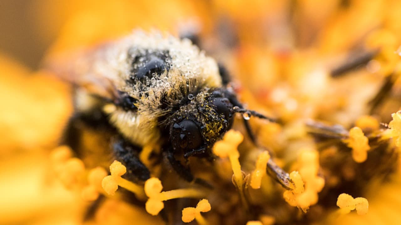 Imagem da notícia: Convite ao Interior regressa a Querença com etnobotânica e percursos na natureza