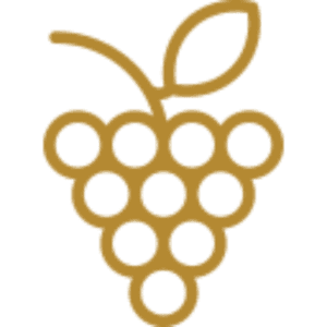 Logótipo de Cooperativa Vitivinícola da Ilha do Pico (Picowines) — Comércio em Madalena