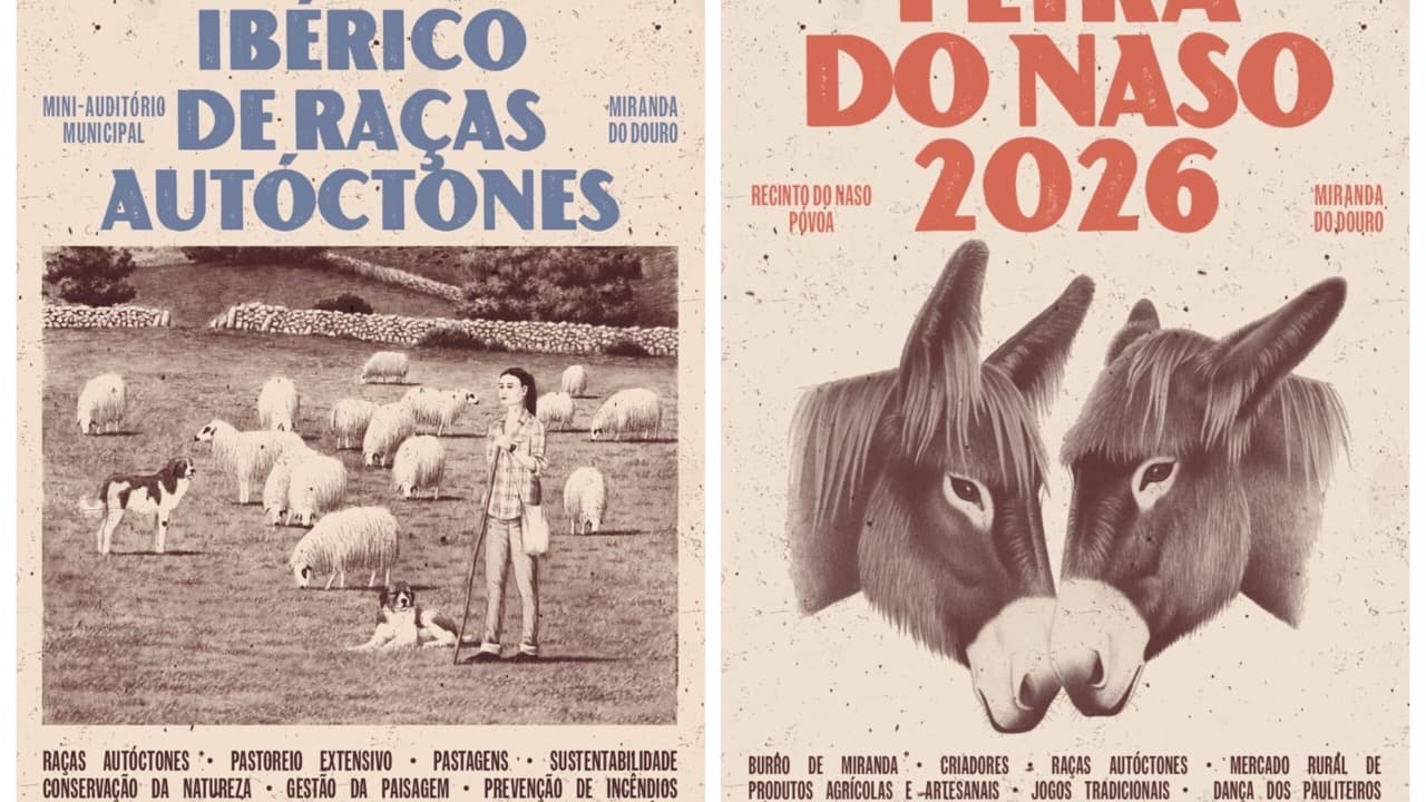 Imagem do evento: 4.º Encontro Ibérico de Raças Autóctones e Concurso Nacional da Raça Asinina de Miranda