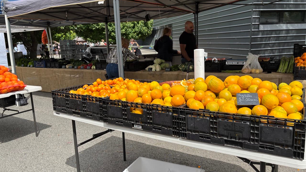 Imagem do evento: Mercado Mensal da Moita