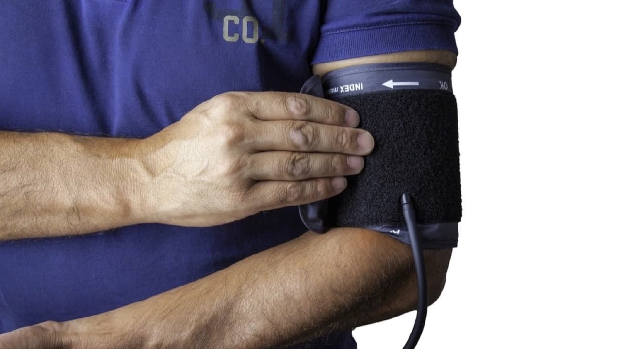 Imagem da notícia: Câmara da Moita promove rastreios cardiovasculares nas escolas do concelho