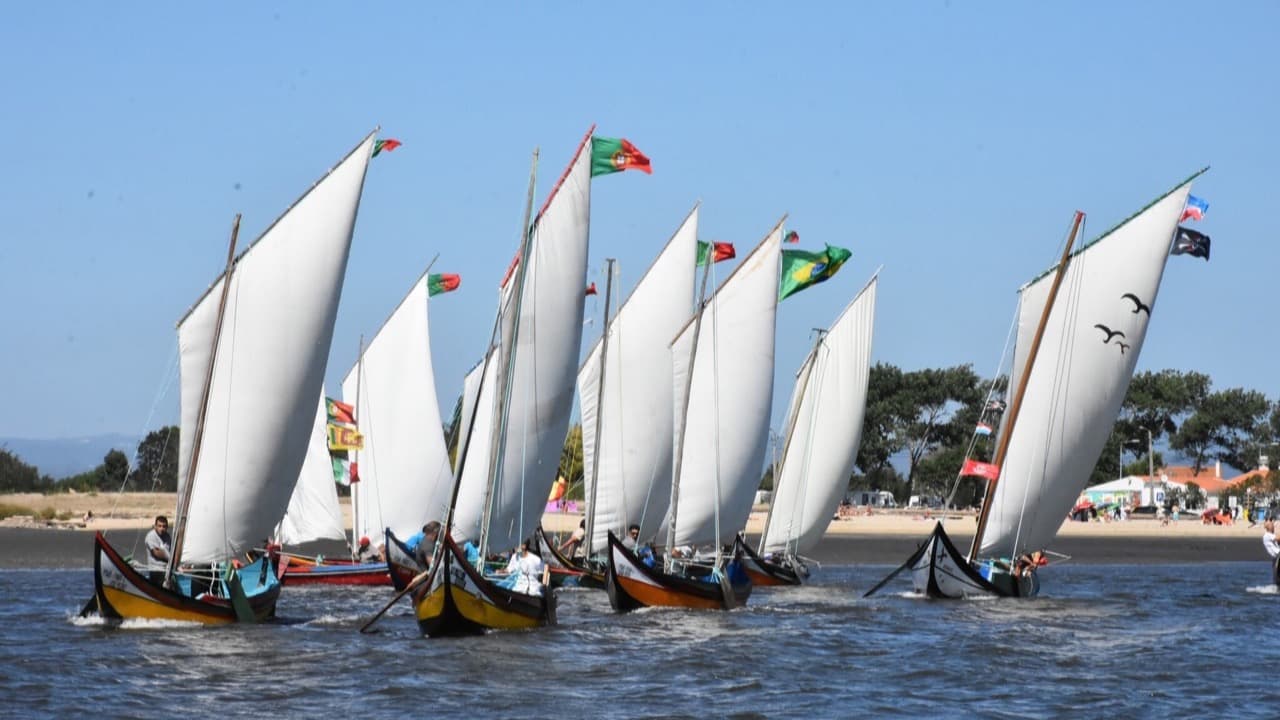 Imagem do evento: Regata de Bateiras à Vela | Romaria de São Paio da Torreira 2026