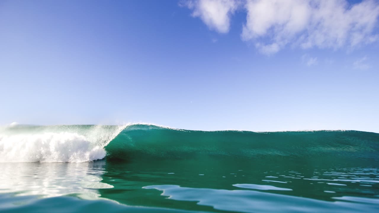 Imagem da notícia: Praia do Norte soma dez nomeações nos prémios Big Wave Challenge