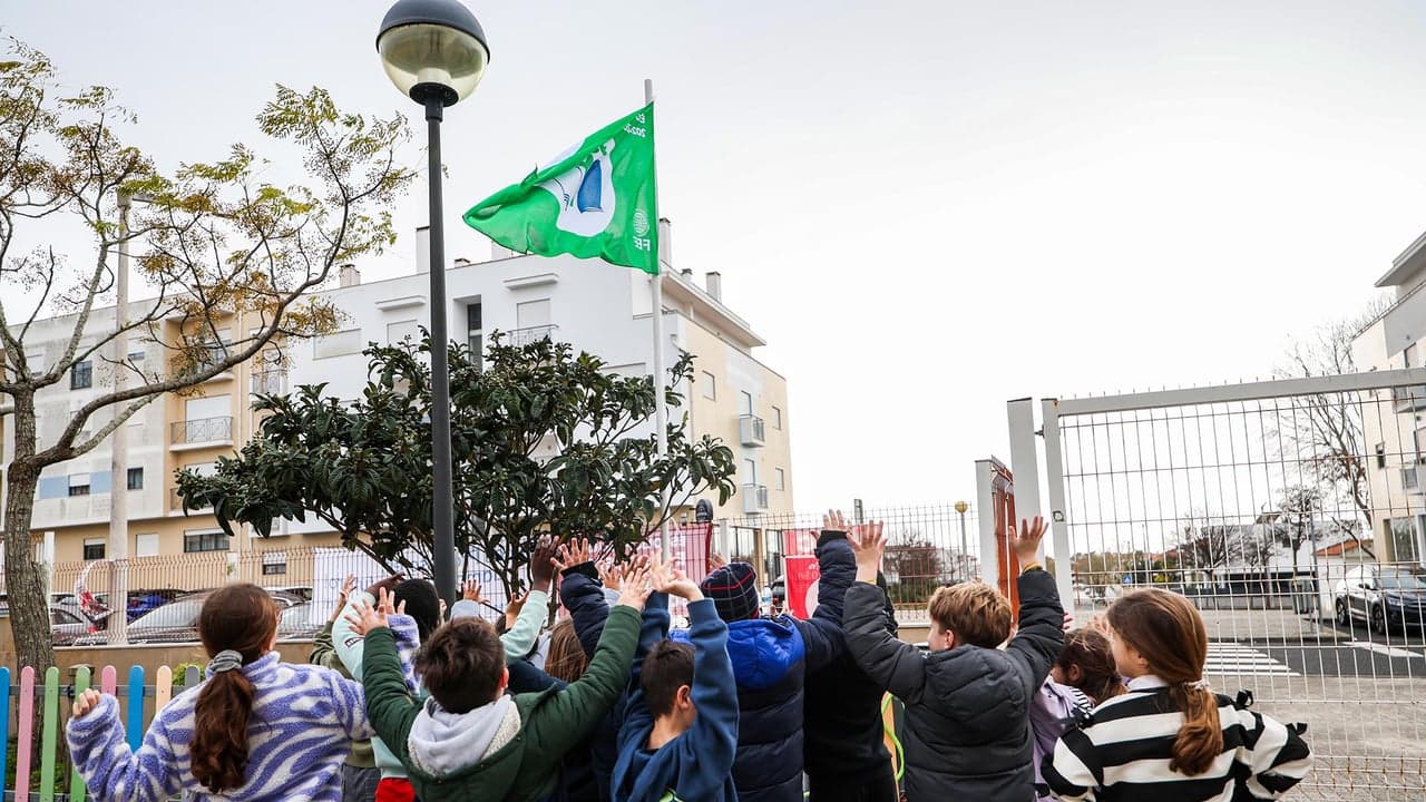 Imagem da notícia: Todas as escolas da Nazaré conquistam Bandeira Verde Eco-Escolas