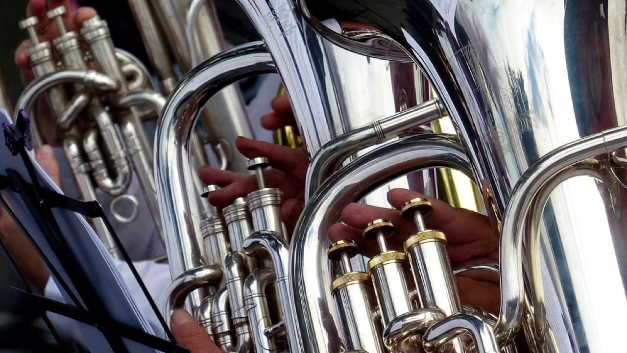 Imagem da notícia: Festival Gravíssimo regressa a Alcobaça com quatro concertos de sopros graves