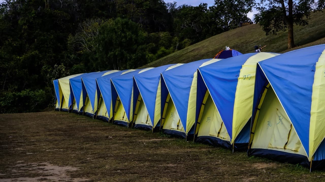 Imagem da notícia: Campismo do Summer End 2026 com inscrições abertas em Almodôvar