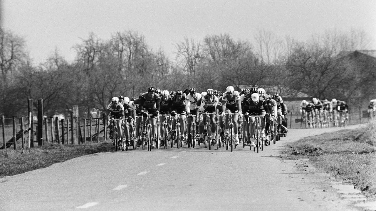 Imagem da notícia: Rendufe recebeu a 23.ª edição do Prémio de Ciclismo com forte participação jovem