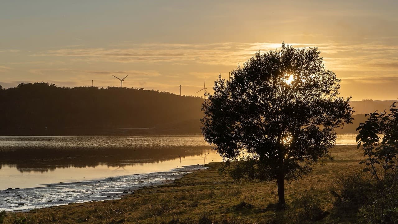 Imagem da notícia: Sunset solidário na Quinta D’Amares reverte para nova viatura dos bombeiros