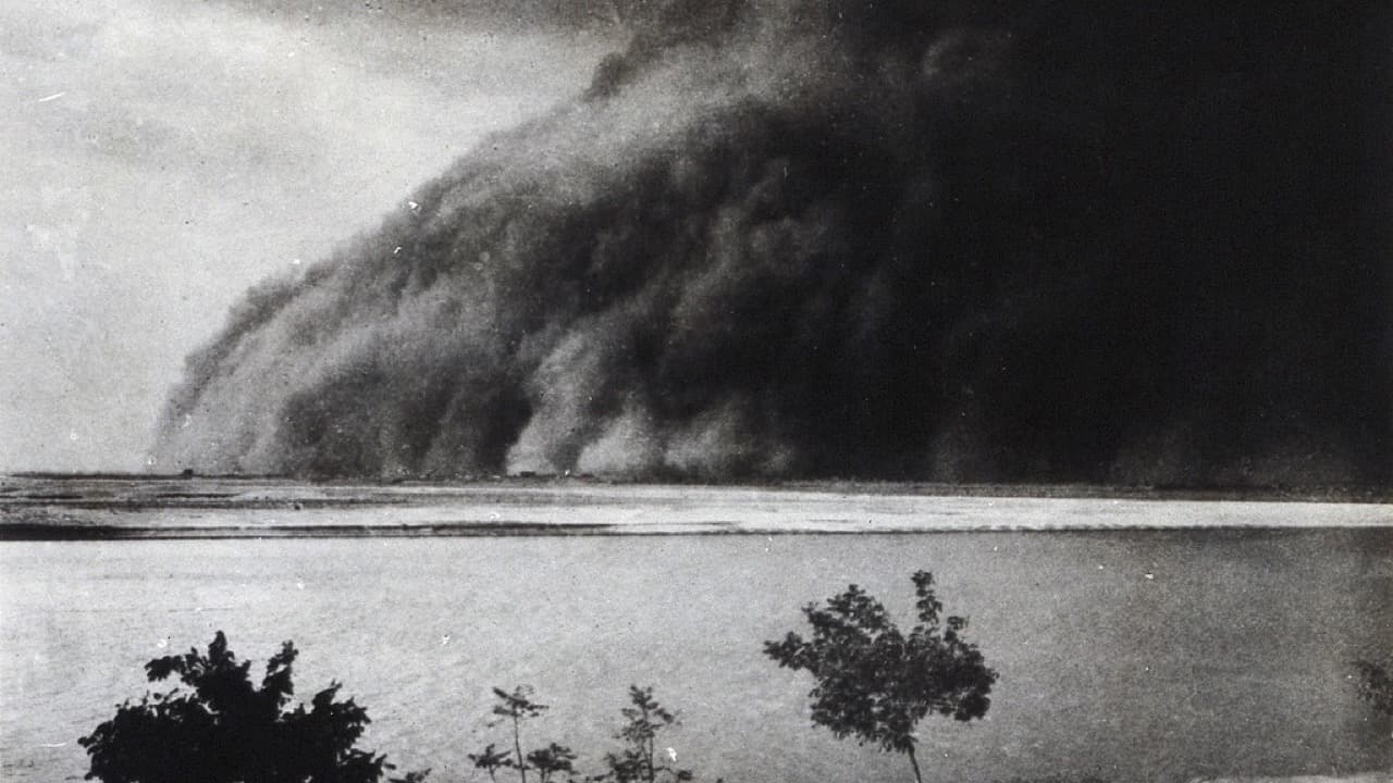 Imagem da notícia: Alter do Chão atualiza apoios extraordinários após a tempestade Kristin
