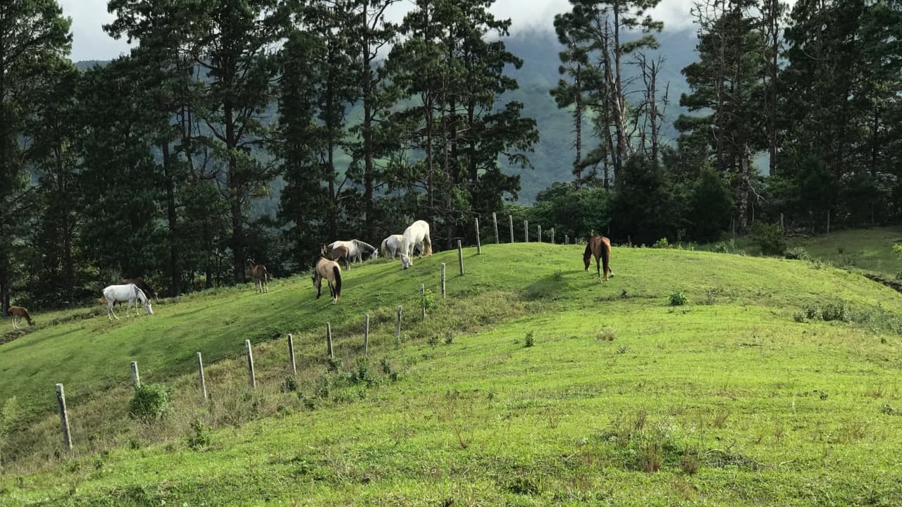 Imagem da notícia: Feira da Portela de Alvite volta a juntar Sistelo e Merufe na serra