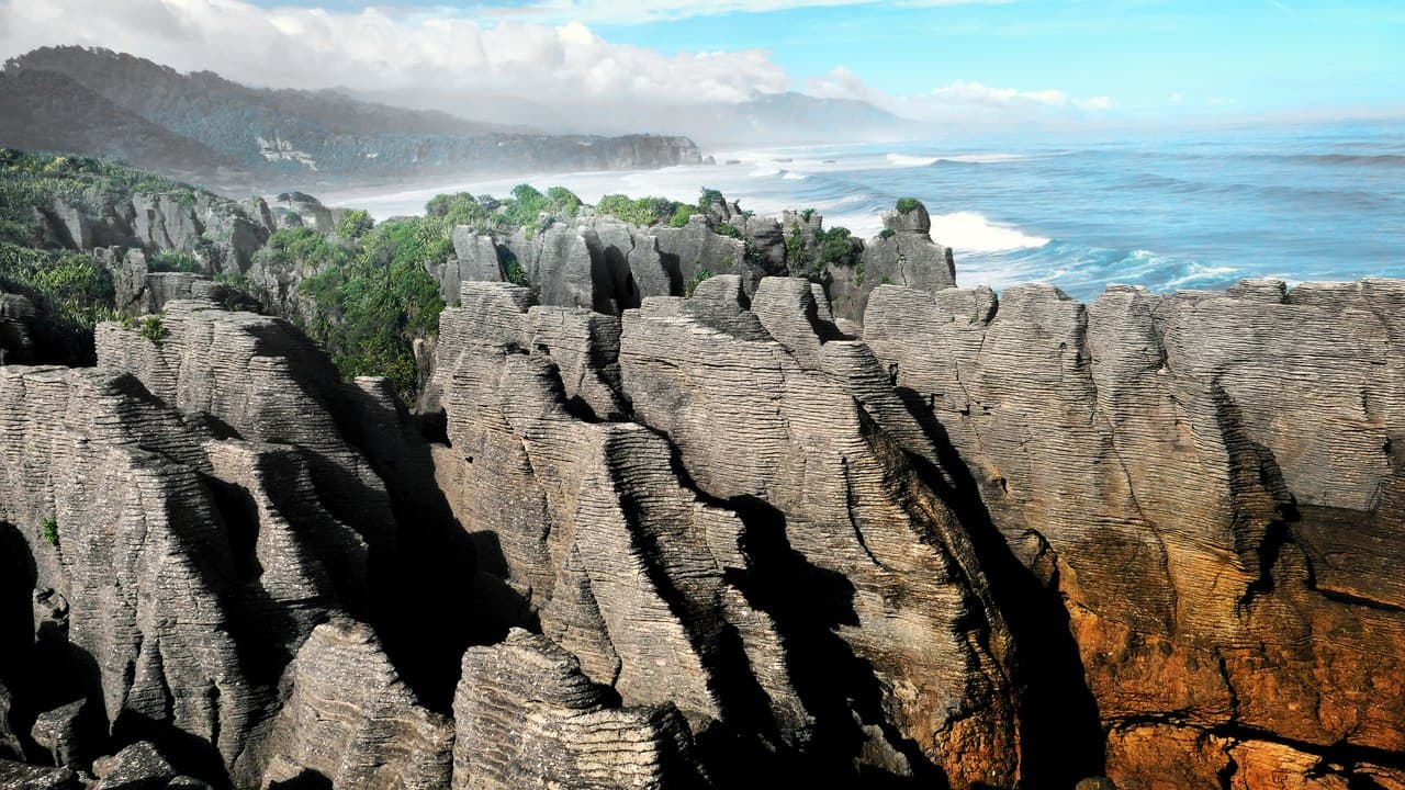 Imagem da notícia: Cascais, Mafra e Sintra avançam com Área Marinha Protegida