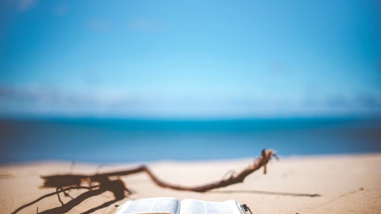 Imagem da notícia: Bibliomóvel leva livros e filmes às praias de Castro Marim no verão