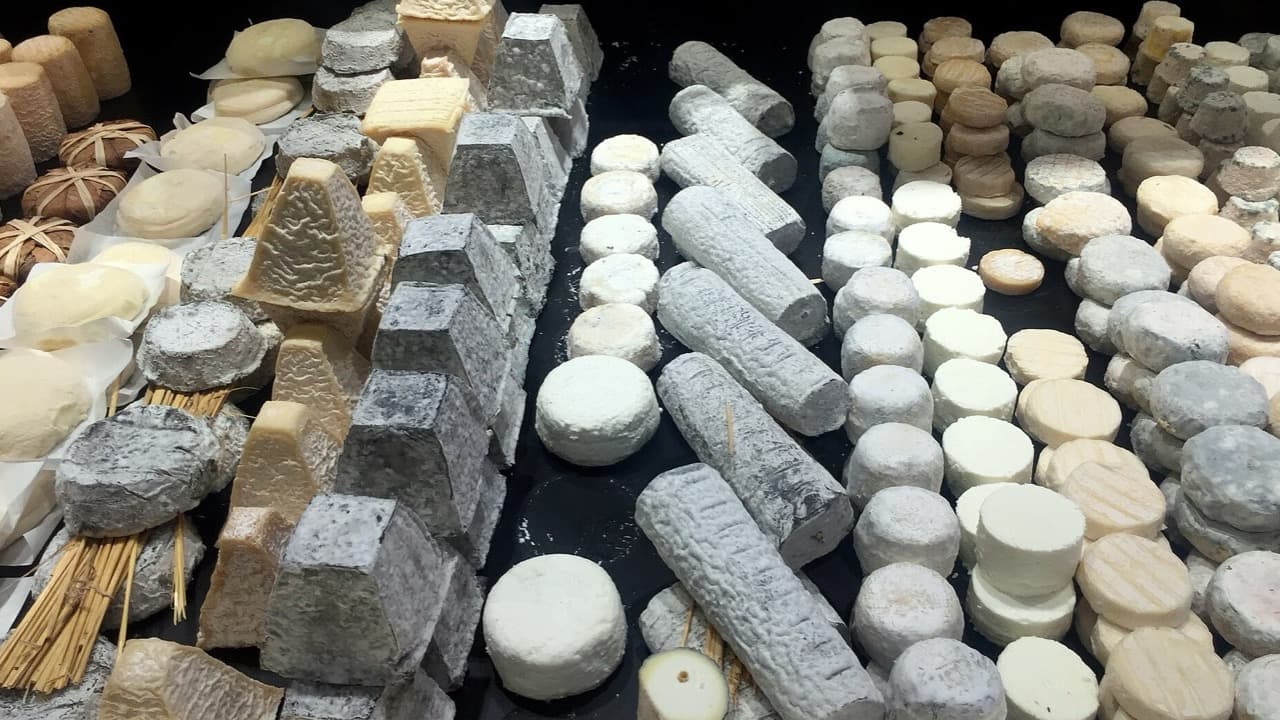 Imagem da notícia: Associações do concelho dinamizam as Praças Alimentares da Noite Branca
