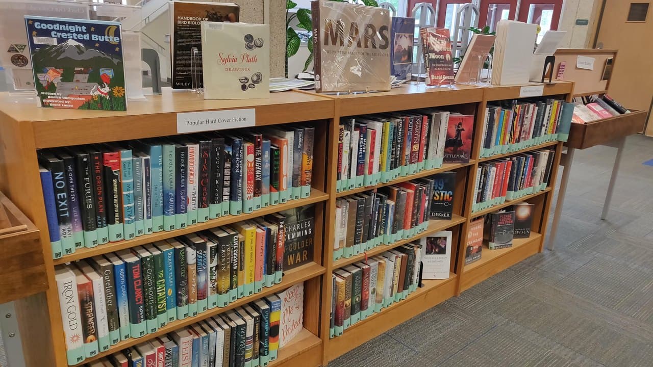 Imagem da notícia: «Biblioteca Divertida» ocupa crianças da Calheta durante o verão