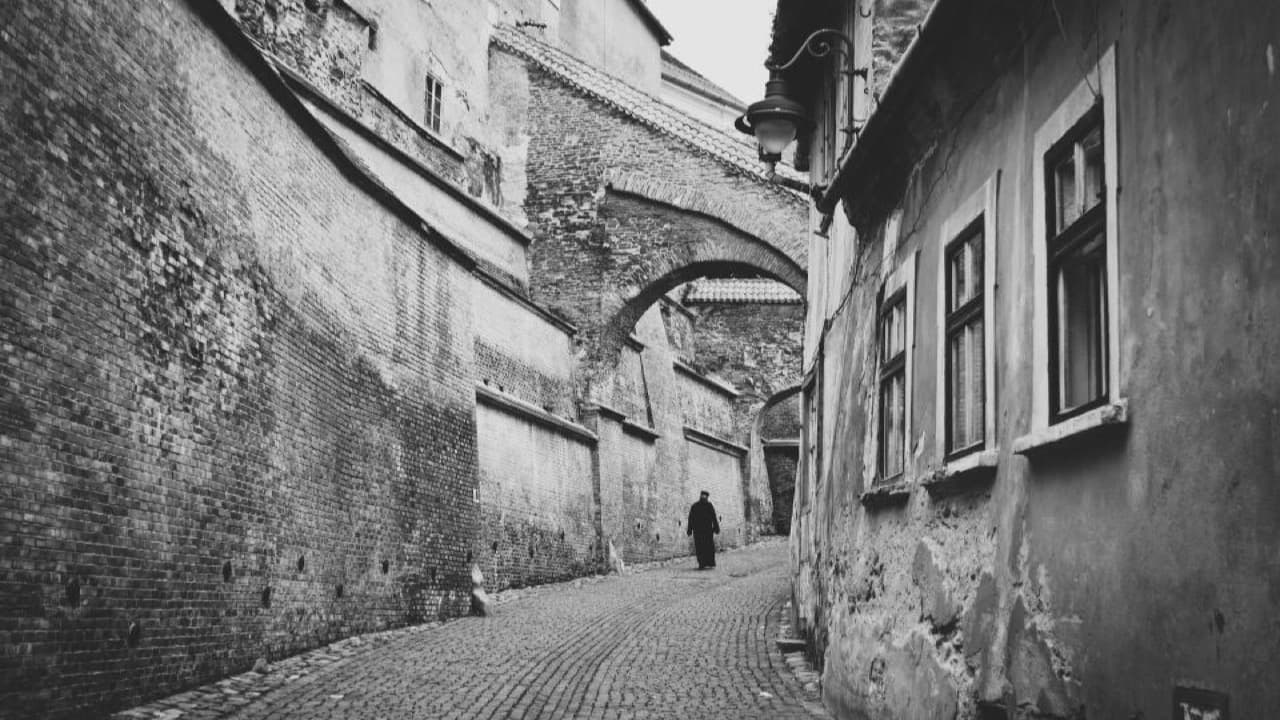 Imagem da notícia: Município de Elvas resolveu 463 das 523 ocorrências identificadas no Centro Histórico
