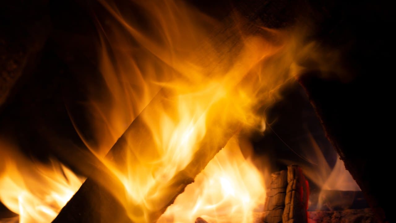 Imagem da notícia: Chefs on Fire regressa ao Parque Marechal Carmona em setembro