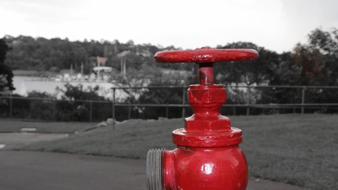 Imagem da notícia: Constância é o concelho da região com mais bombeiros por habitante