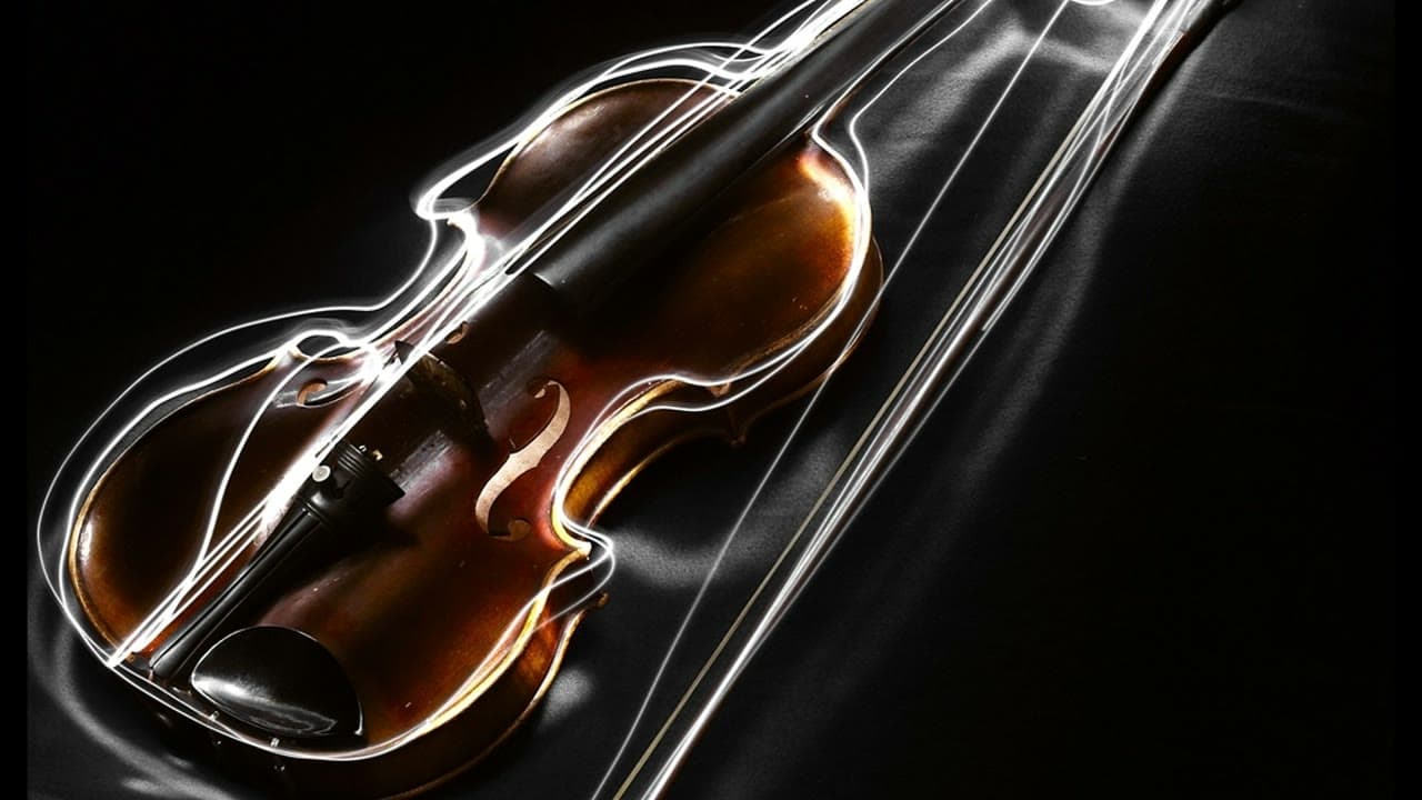 Imagem da notícia: «Costa Vicentina Early Music Fest» traz música antiga a Sagres e Vila do Bispo