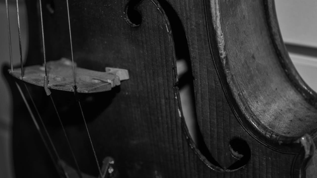 Imagem da notícia: Festival de música antiga abre em Lagos com concerto no Museu