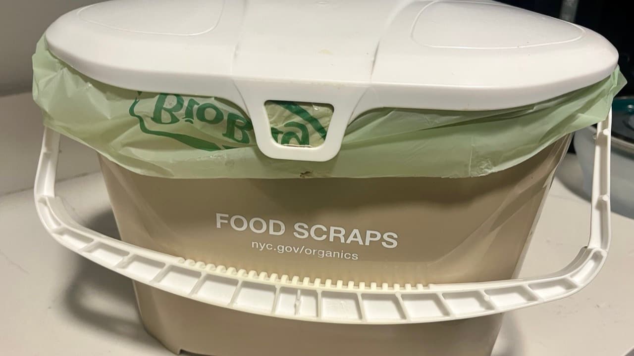 Imagem da notícia: Entroncamento admite atraso na recolha de biorresíduos e reforça compostagem municipal