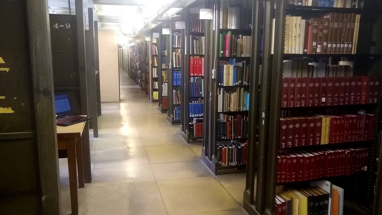 Imagem da notícia: Município atribui 35 bolsas de estudo a estudantes do ensino superior