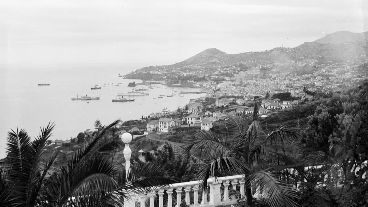 Imagem da notícia: Funchal celebra 518 anos de cidade com Funchal Folk e concerto sinfónico dedicado aos ABBA