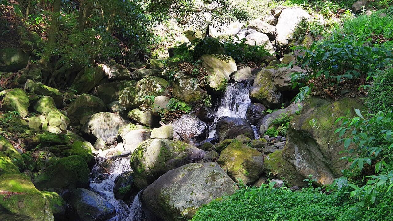 Imagem da notícia: Vale das Furnas em festa de 24 de julho a 1 de agosto