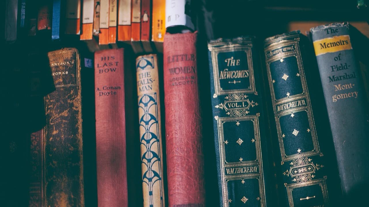 Imagem da notícia: Golegã tem caixas de livros de acesso livre em todo o concelho