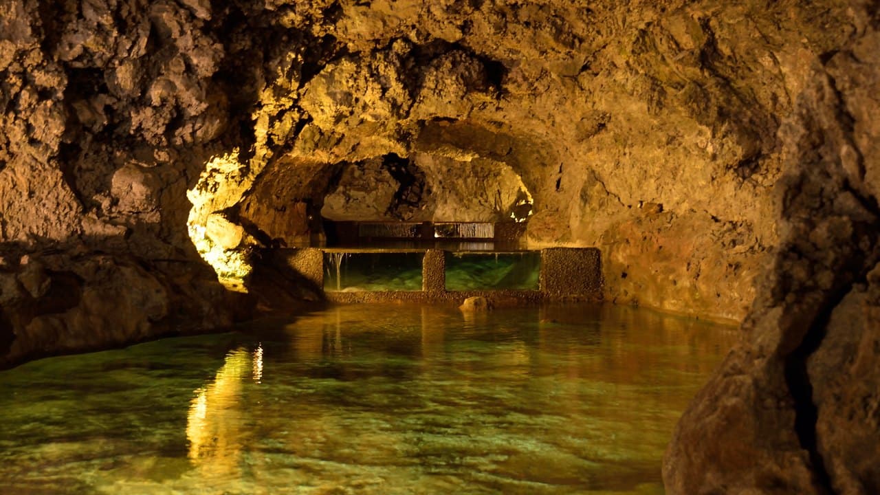 Imagem da notícia: Futuro das Grutas de São Vicente continua em aberto e divide a autarquia