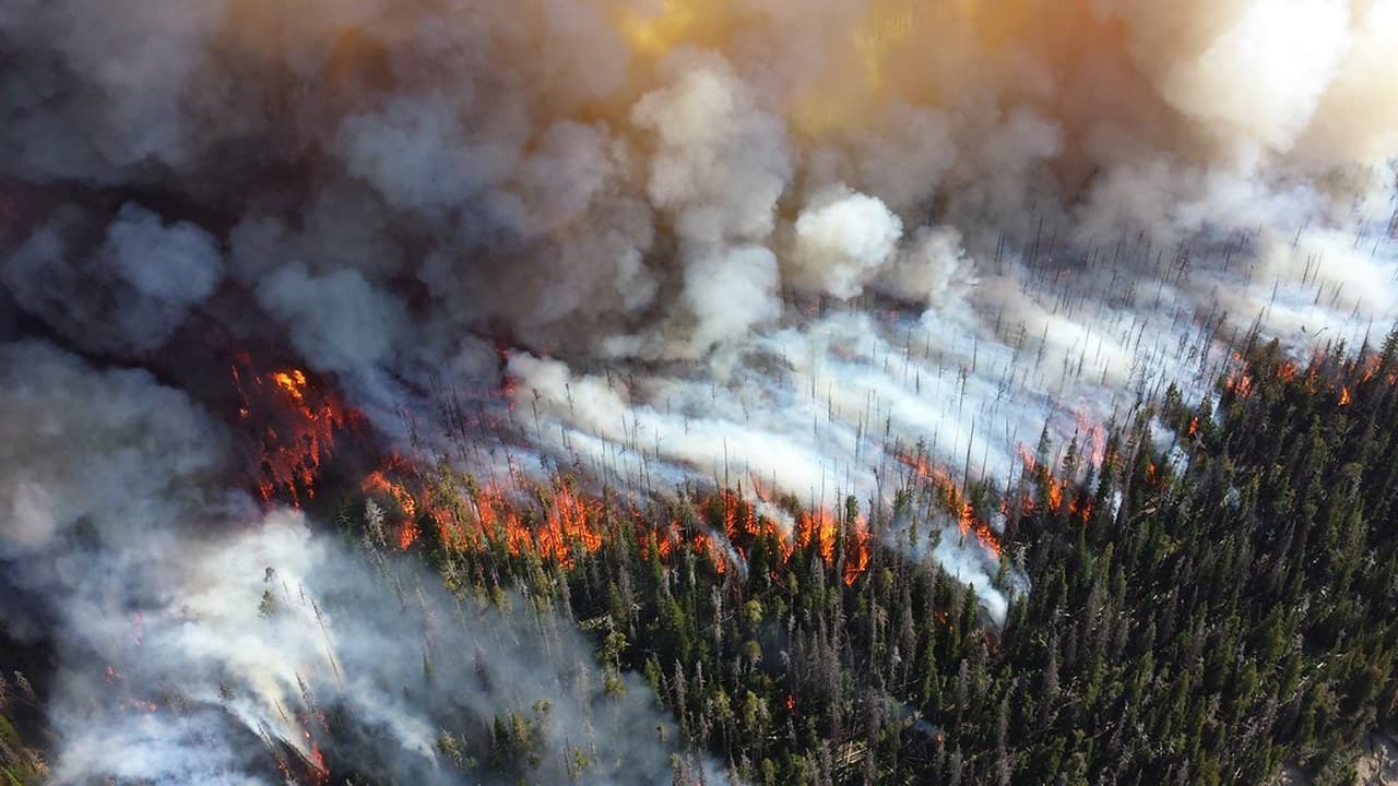 Imagem da notícia: Incêndio em zona de mato em Mafra mobilizou mais de uma centena de operacionais