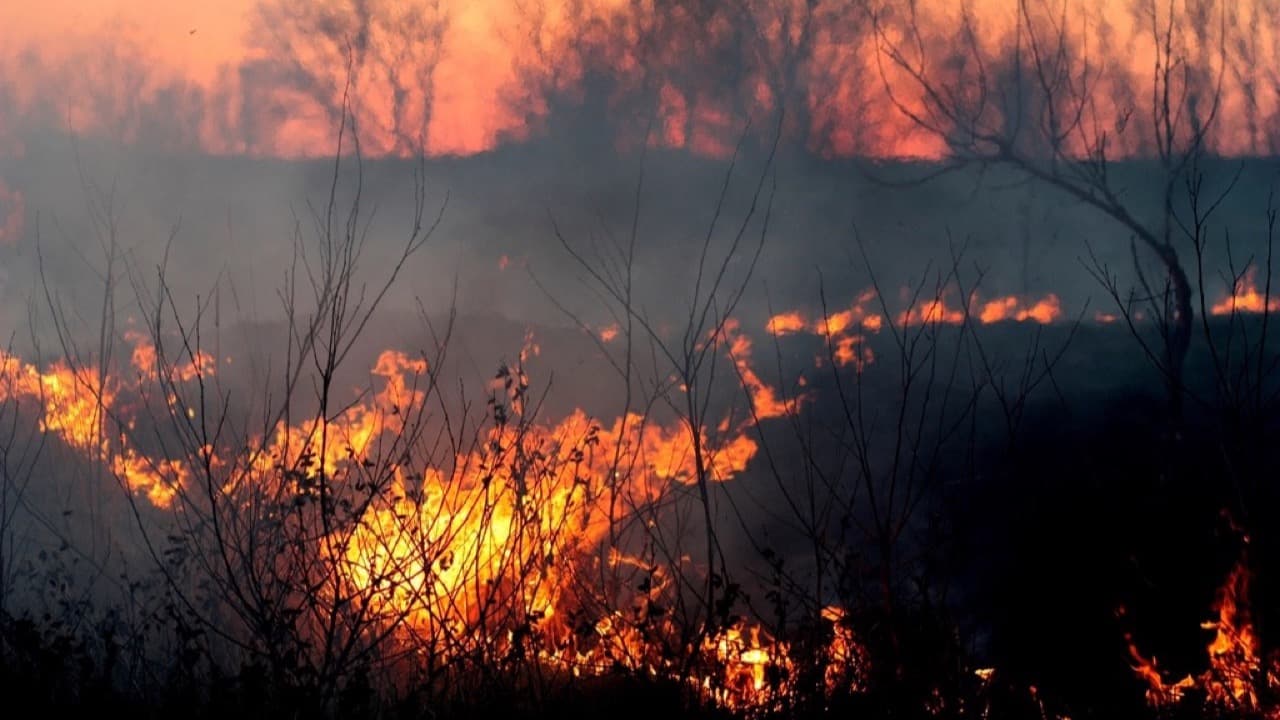 Imagem da notícia: Incêndio em propriedade agrícola de Alter do Chão destrói armazém e máquinas