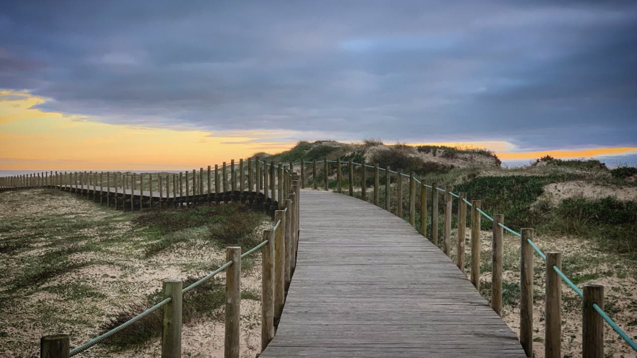 Imagem da notícia: Lagos leva sensibilização ambiental às praias durante o verão