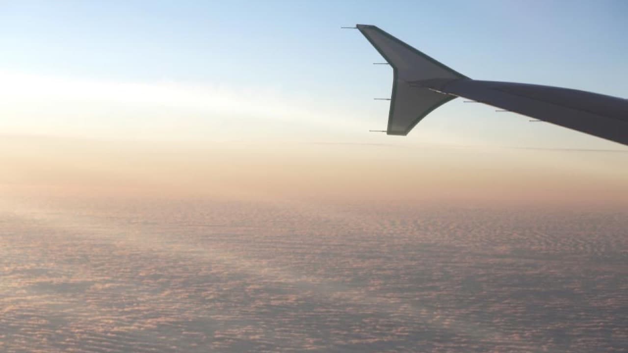 Imagem da notícia: Lauak escolhe Grândola para nova fábrica aeronáutica de 20 milhões